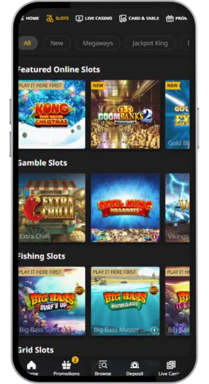 Slot interface showing stake selector and play button