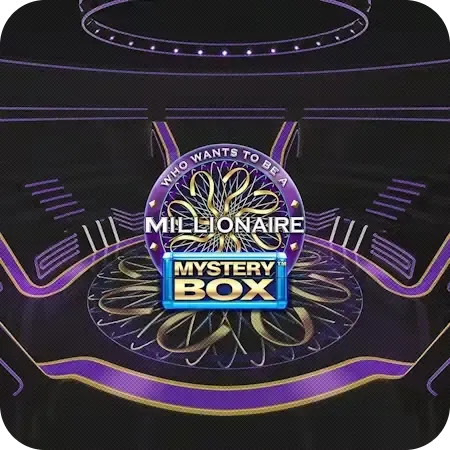 Millionaire Mystery Box