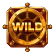 Wild Symbol