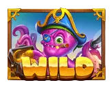 Wild Symbol